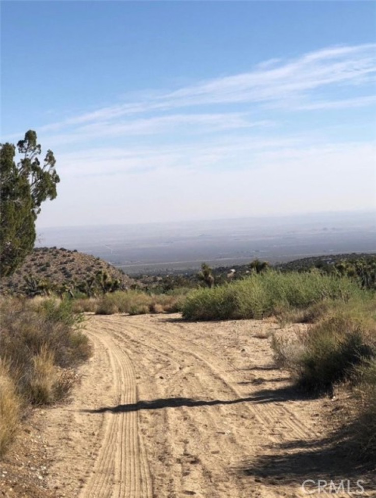  Land for Sale in Llano, California