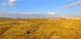 Land for Sale in Apple Valley, California