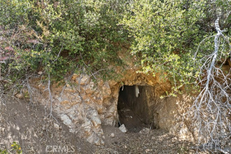  Land for Sale in Acton, California