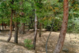  Land for Sale in Lake Arrowhead, California
