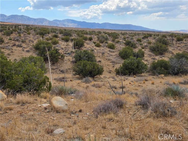 Land in Llano