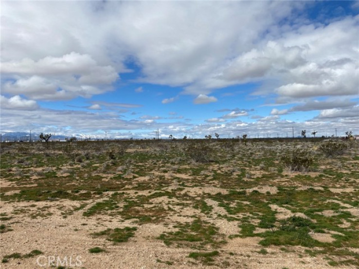  Land for Sale in Adelanto, California