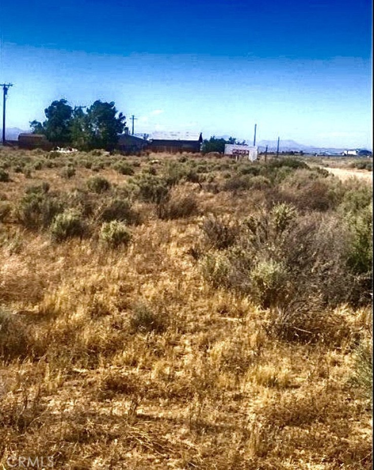  Land for Sale in California City, California