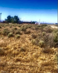 Land for Sale in California City, California
