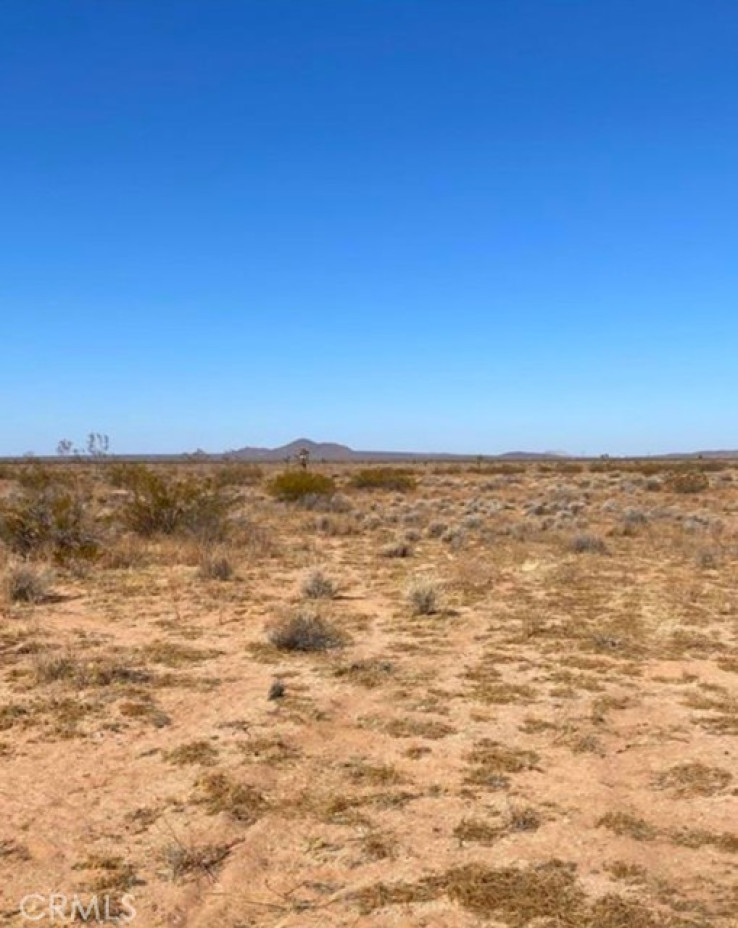  Land for Sale in Helendale, California