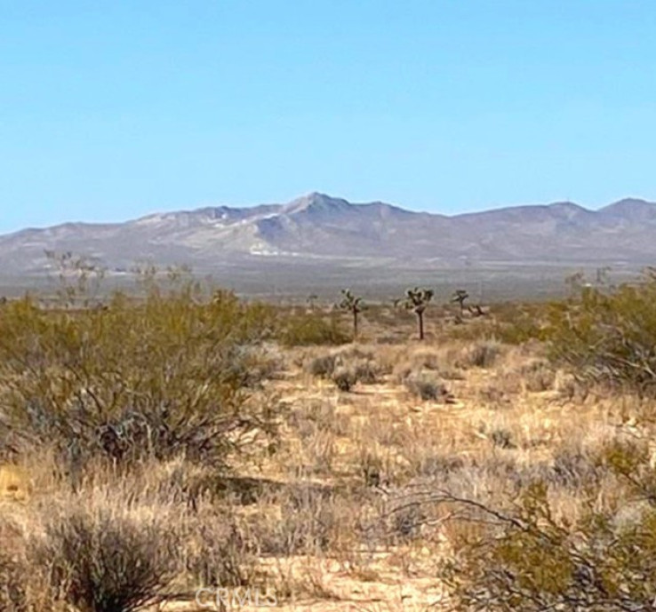  Land for Sale in Helendale, California