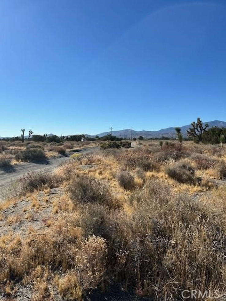  Land for Sale in Pinon Hills, California