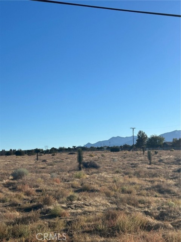  Land for Sale in Phelan, California