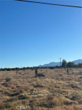  Land for Sale in Phelan, California
