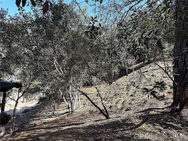  Land for Sale in Tujunga, California