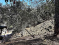 Land for Sale in Tujunga, California