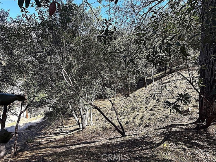  Land for Sale in Tujunga, California