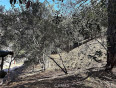  Land for Sale in Tujunga, California