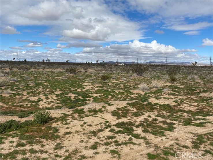 Land in Adelanto