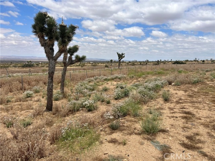 Land in Llano