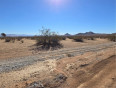  Land for Sale in Apple Valley, California