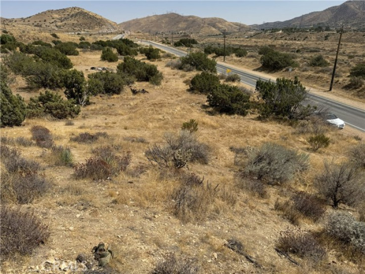  Land for Sale in Acton, California