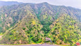  Land for Sale in Sun Valley, California