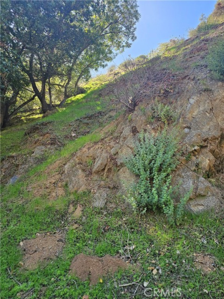 Land in Sunset Strip - Hollywood Hills West