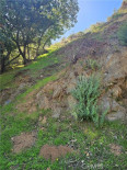  Land for Sale in Los Angeles, California