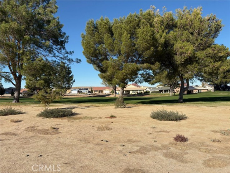  Land for Sale in Helendale, California