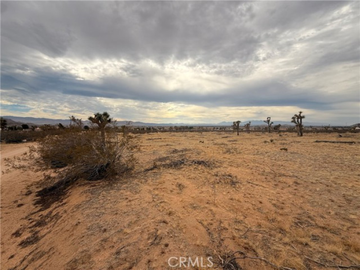 Land in Apple Valley