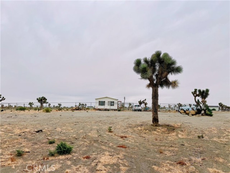  Land for Sale in Pinon Hills, California