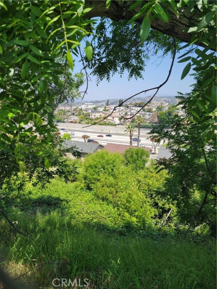 Land in City Terrace