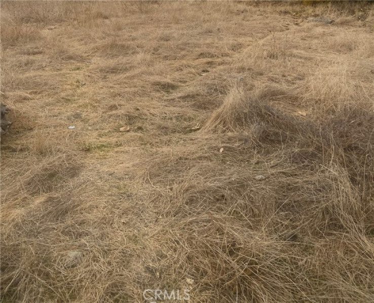 Land for Sale in Llano, California