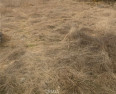  Land for Sale in Llano, California