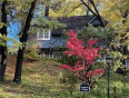 3 Bed Home for Sale in Lake Arrowhead, California