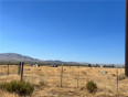 Land for Sale in Rosamond, California