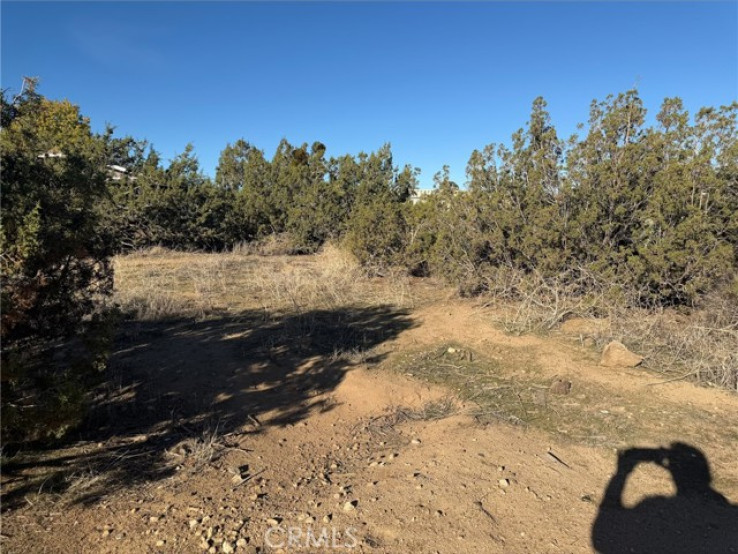  Land for Sale in Phelan, California
