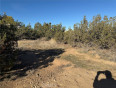  Land for Sale in Phelan, California