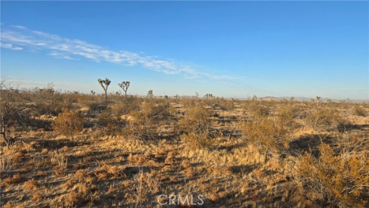  Land for Sale in Llano, California