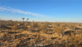  Land for Sale in Llano, California