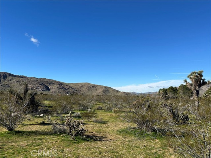 Land in Apple Valley