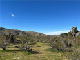  Land for Sale in Apple Valley, California