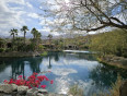 3 Bed Home for Sale in Palm Desert, California