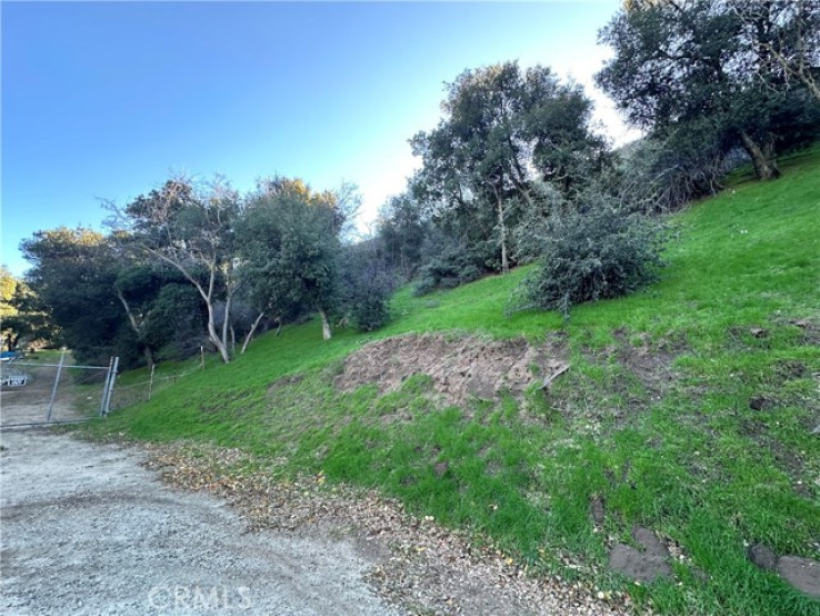 Land in Lake Elizabeth