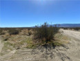 Land for Sale in Pinon Hills, California