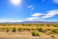  Land for Sale in Mojave, California
