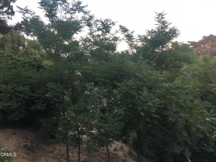  Land for Sale in Los Angeles, California