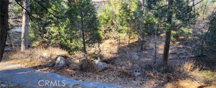 Land for Sale in Lake Arrowhead, California