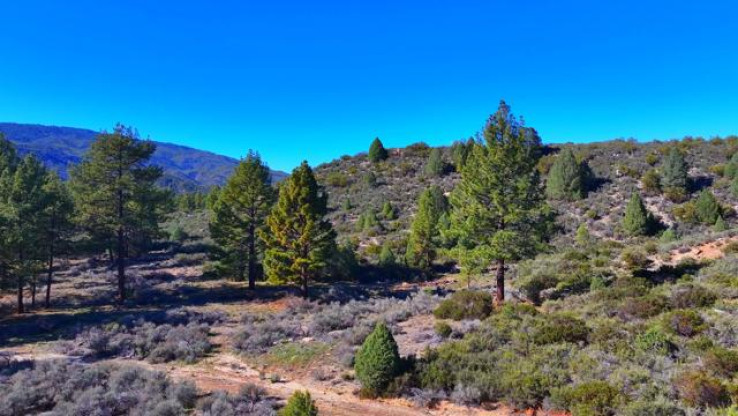  Land for Sale in Mountain Center, California
