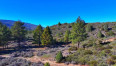  Land for Sale in Mountain Center, California