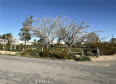  Land for Sale in Mojave, California