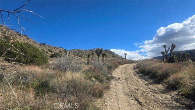 Land for Sale in Llano, California