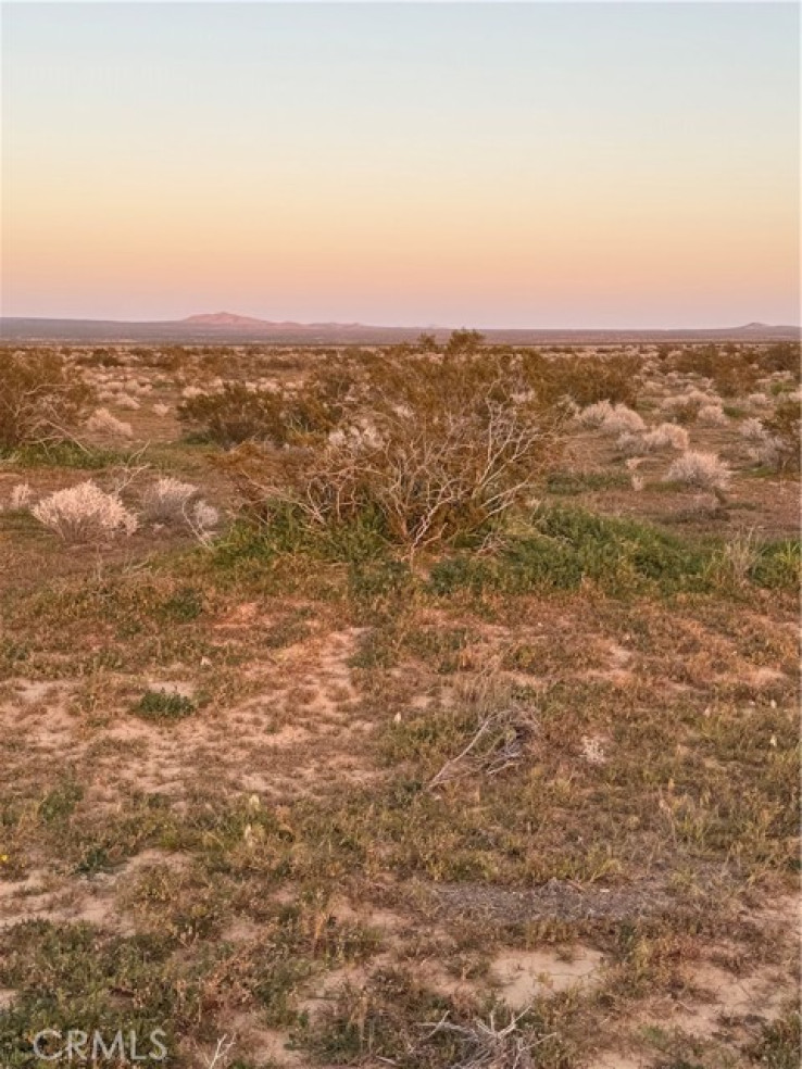 Land in California City