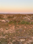  Land for Sale in California City, California